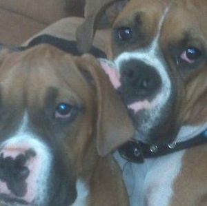 Meet your Posher, Brian